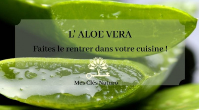L'aloe vera