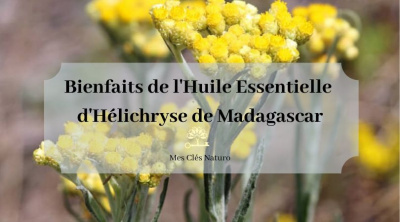 Bienfaits de l'Huile Essentielle d'Hélichryse de Madagascar