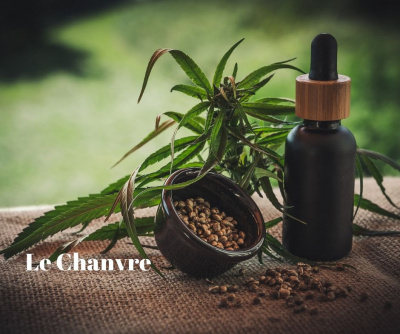 Le chanvre...en toute légalité !