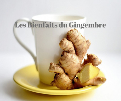 Gingembre...