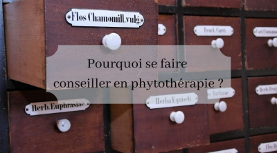 Pourquoi se faire conseiller en phytothérapie ?
