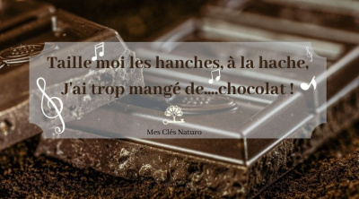 Le chocolat, bon ou mauvais pour vous ?
