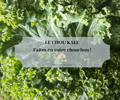 Pourquoi manger du Chou Kale ?