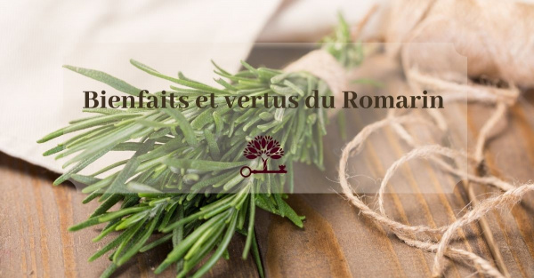 Le Romarin