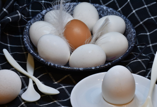 7 bonnes raisons de manger des oeufs !