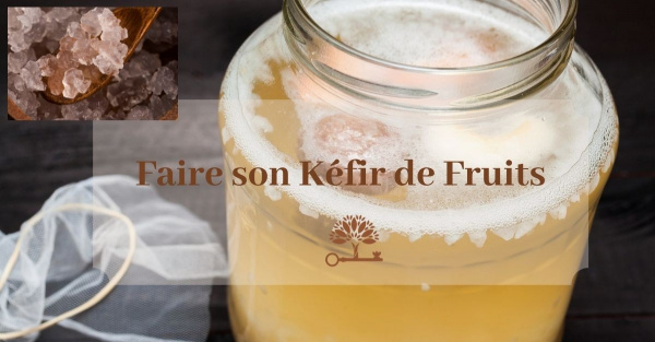 Kéfir de Fruits